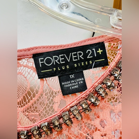 Forever 21 + Plus Sizes Elegant Dusty Pink Lace & Tulle Dress - Picture 15 of 16